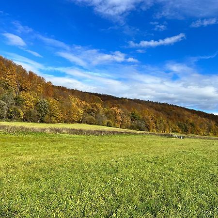 Domki Nad Stawem Uherce Uherce Mineralne 외부 사진